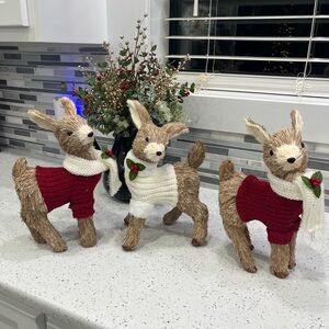 🎄🎄Festive Christmas Reindeer Decor Set with Red and White Accents (Set of 3)